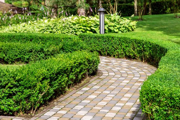 Cost of Paved Landscaping in Saint Johns